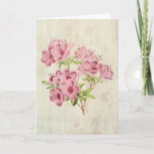 Carte Azalée hybride de Standish Botanique vintage