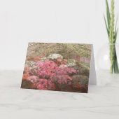 Carte Azalées de serre | Marie Antoinette Marcotte (Devant)