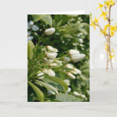Carte Aztec Pearl - Photographie florale (Fleur jaune)
