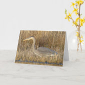 Carte B19 Heron bleu juvénile (Fleur jaune)