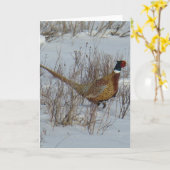 Carte B23 Pheasant à cou circulaire (Fleur jaune)