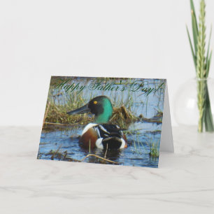 Carte B25 Northern Shoveler Duck