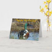 Carte B26 Northern Shoveler Duck (Fleur jaune)