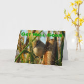 Carte B3 Marsh Wren in Cattails (Fleur jaune)