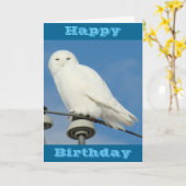 Carte B50 Snowy (Fleur jaune)
