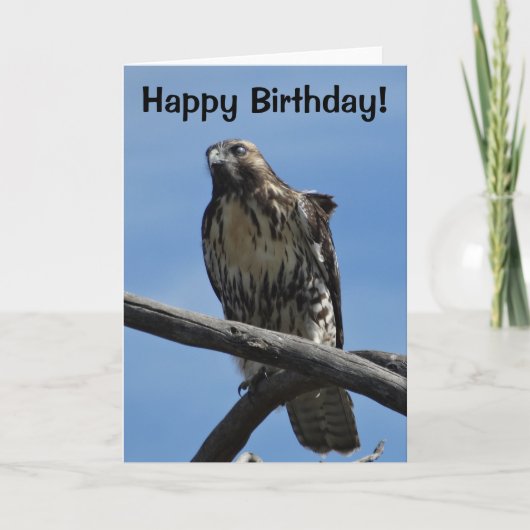 Carte B54 Buse de Swainson (Devant)