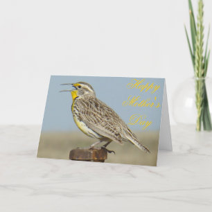 Carte B6 Ouest Meadowlark