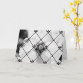 Carte B/W Flower & Fleur de lis Greeting Card (Fleur jaune)