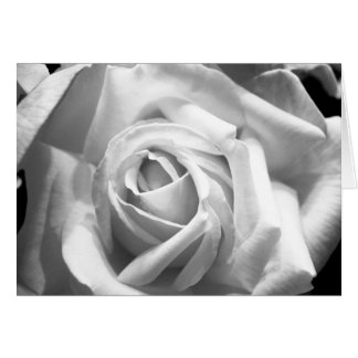 Carte B/W rose
