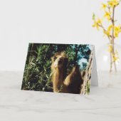 Carte Baba tranquille (Fleur jaune)