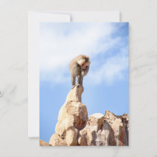Carte Babouin singe au sommet d'une montagne