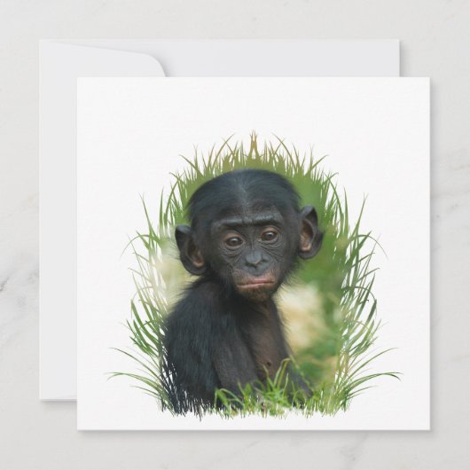 Carte Baby Ape dans l'herbe (Devant)