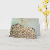 Carte Baby Barn Swallows (Fleur jaune)