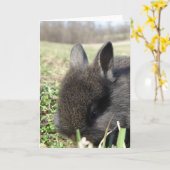 Carte Baby Bunny (Fleur jaune)