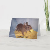 Carte Baby card (Dos)