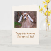 Carte Baby Chèvre Sagesse Anniversaire (Fleur jaune)