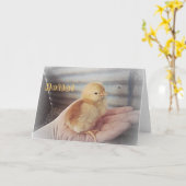 Carte Baby Chick "Hello" (Fleur jaune)