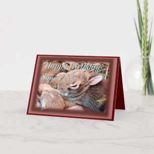 Carte Baby Cottontails-any occasion-customize