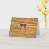 Carte Baby Deer Fawn Wild Animal Art Note Card (Fleur jaune)