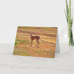 Carte Baby Deer Fawn Wild Animal Art Note Card