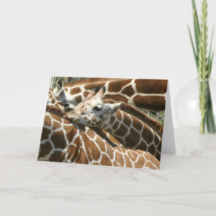 Carte Baby Giraffe