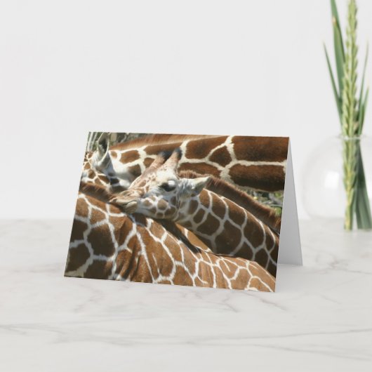 Carte Baby Giraffe (Devant)