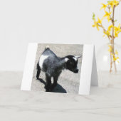 Carte Baby Goat (Fleur jaune)