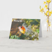 Carte Baby Goldfish Missing you Greeting Card (Fleur jaune)