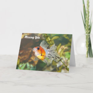 Carte Baby Goldfish Missing you Greeting Card