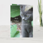 Carte Baby Grey Kitten (Dos)