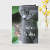 Carte Baby Grey Kitten (Fleur jaune)