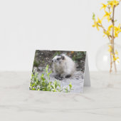 Carte Baby Marmot, Parc national de Denali, Alaska (Fleur jaune)