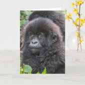 Carte Baby Mountain Gorilla (Fleur jaune)