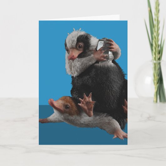 Carte Baby Nifflers Find A Prize (Devant)