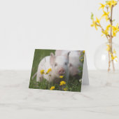 Carte Baby Piglet dans le champ de fleurs jaunes (Fleur jaune)