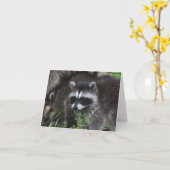 Carte Baby Raccoom (Fleur jaune)