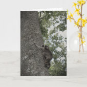 Carte Baby Raccoon (Fleur jaune)