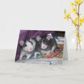 Carte Baby Rats ~Card (Fleur jaune)