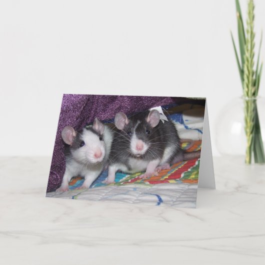 Carte Baby Rats ~Card (Devant)