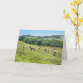 Carte Bachelor Pronghorn Antelopes, Dakota du Sud (Fleur jaune)