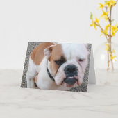 Carte badday ! (Fleur jaune)