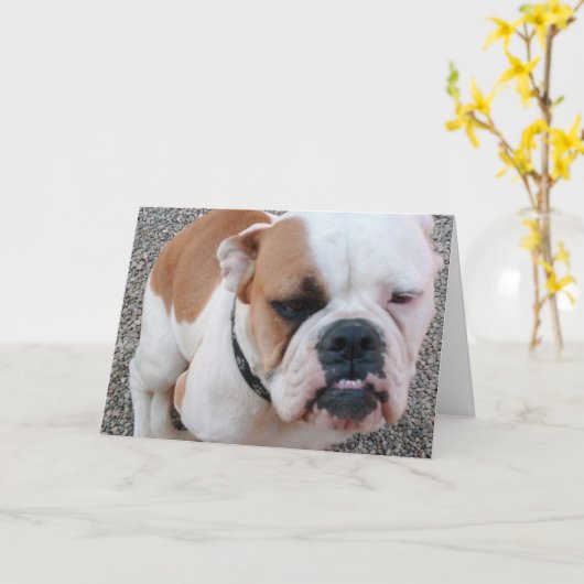 Carte badday ! (Fleur jaune)