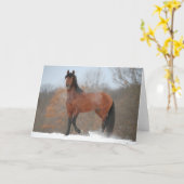 Carte Baie Andalousie Stallion debout En Neige (Fleur jaune)