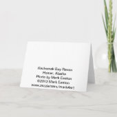 Carte Baie Raven de Kachemak (Dos)