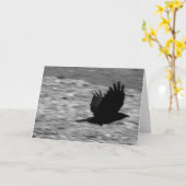 Carte Baie Raven de Kachemak (Fleur jaune)