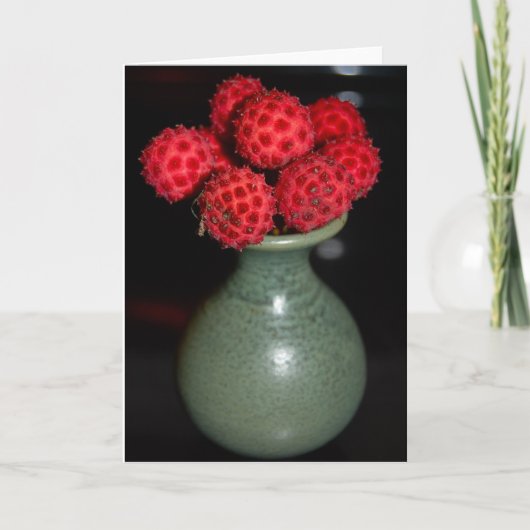 Carte Baies (Devant)