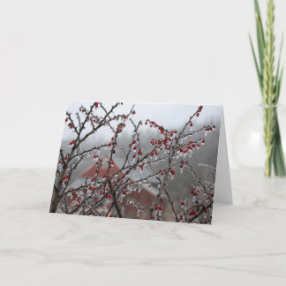 Carte Baies de glace