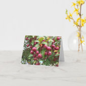 Carte baies rouges (Fleur jaune)