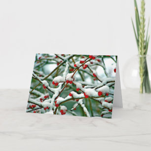 Carte Baies rouges en neige