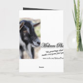 Carte BaileyLookatYou-customisez toute occasion (Dos)